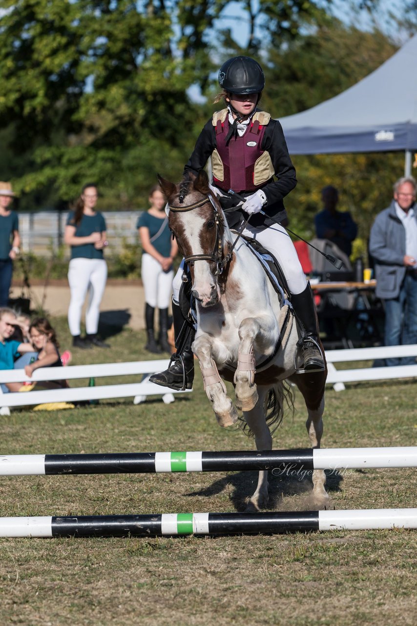 Bild 10 - Pony Akademie Turnier